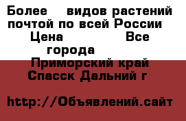 Более200 видов растений почтой по всей России › Цена ­ 100-500 - Все города  »    . Приморский край,Спасск-Дальний г.